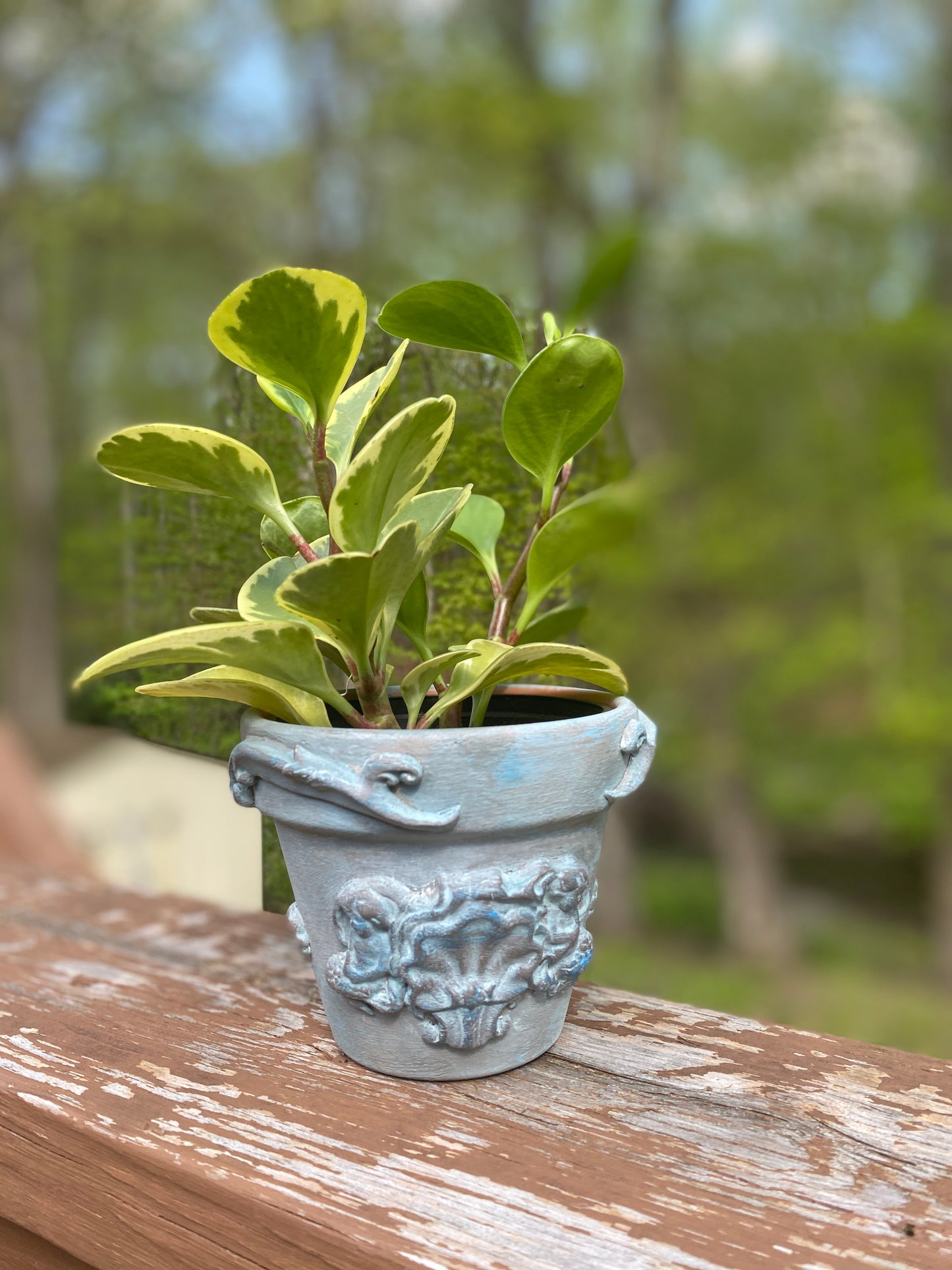 Seaside Custom Plant Pot