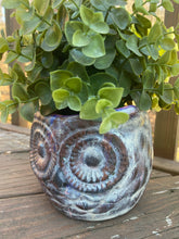 Load image into Gallery viewer, Woody the Owl Flower Pot or Planter
