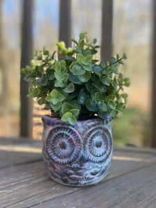 Woody the Owl Flower Pot or Planter
